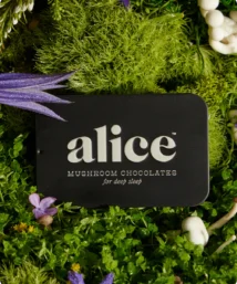 Nightcap Mushroom Chocolate Bar